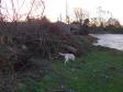 De to efterårsstorme i 2013 har haft drastiske konsekvenser for Aagaarden <span id="copyright">&copy;Ravensbank Labrador Retrievers</span>