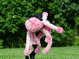 <a href="/ajaxhund.php?hund=Ravensbank%20Donna" data-toggle="modal" data-target="#myModal" data-remote="false" >Ravensbank Donna (Bibs)</a>, 11 måneder gammel <span id="copyright">&copy;<a href="http://www.sanneshundecenter.dk/" title="Klik her for at blive viderestillet til http://www.sanneshundecenter.dk/" target="_blank">Sanne Amnitsbøll, Sannes Hundecenter</a></span>