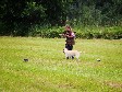 <a href="/ajaxhund.php?hund=Ravensbank%20FT" data-toggle="modal" data-target="#myModal" data-remote="false" >DKRLCH Ravensbank FT (Pink)</a> og Anne Winkel har det sjovt på Retriever rally i juli 2013 <span id="copyright">&copy;Anne Winkel</span>
