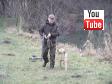 Jeg tog denne video af Ravensbank Boss (Boss) der er fra Ivy's 2. kuld (2008) da han var otte måneder gammel. Jeg har haft Boss i tre dage på dette tidspunkt.&nbsp;&copy;Ravensbank Labrador Retrievers