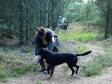 <a href="/ajaxhund.php?hund=Ravensbank%20Duff" data-toggle="modal" data-target="#myModal" data-remote="false" >Ravensbank Duff (Duff)</a> med sin første 1. pr. i åben klasse på B-prøve. <span id="copyright">&copy;Steen Rydahl</span>