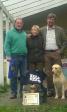 <a href="/ajaxhund.php?hund=Ravensbank%20Tip" data-toggle="modal" data-target="#myModal" data-remote="false" >FI KVA, SE KVA Ravensbank Tip (Tipi)</a> bliver nr. 3 til det finske Working Test Championship 2012 flankeret af den stolte ejer og fører, Mervi Salo og de to danske dommere Danny Fraser (t.v.) og Jan Lorentzen (t.h.) <span id="copyright">&copy;Mervi Salo</span>