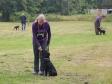 <a href="/ajaxhund.php?hund=Ravensbank%20Dundee" data-toggle="modal" data-target="#myModal" data-remote="false" >Ravensbank Dundee (Dundee)</a> til hvalpetræning sammen med Ann Jensen i juli 2014, hvor Dundee er 4 måneder gammel. I baggrunden er det Dundee søskende <a href="/ajaxhund.php?hund=Ravensbank%20Ice" data-toggle="modal" data-target="#myModal" data-remote="false" >Ravensbank Ice (Maggie)</a> til højre og <a href="/ajaxhund.php?hund=Ravensbank%20Angel" data-toggle="modal" data-target="#myModal" data-remote="false" >Ravensbank Angel (Nellie)</a> til venstre. <span id="copyright">&copy;John Smed Andersen</span>