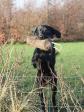 <a href="/ajaxhund.php?hund=Ravensbank%20Scotsman" data-toggle="modal" data-target="#myModal" data-remote="false" >Ravensbank Scotsman (Scot)</a> <span id="copyright">&copy;Ane Elsnab</span>