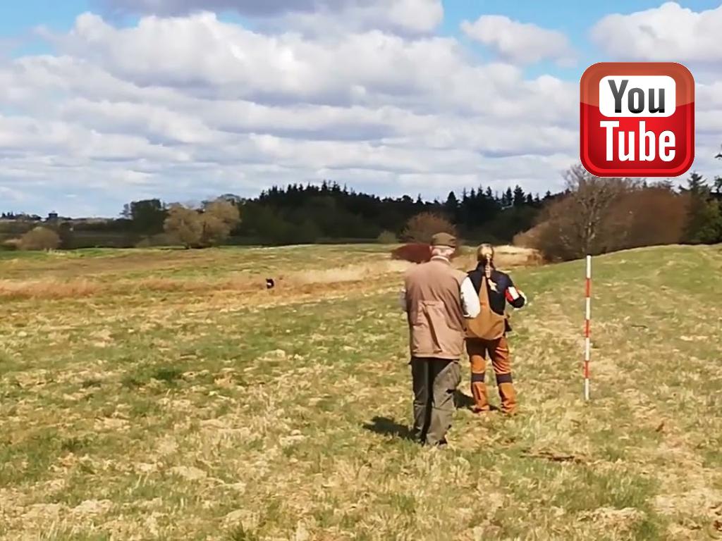 Ravensbank Donna (Bibs) leverer en finalepræstation der er umulig at slå. Godt markeringsarbejde, godt dirigeringsarbejde - lydig, ro på post og flotte afleveringer.&nbsp;&copy;Lars Søndergaard