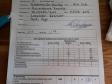 Click here to see picture <a href="/ajaxhund.php?hund=Ravensbank%20Ice" data-toggle="modal" data-target="#myModal" data-remote="false" >Ravensbank Ice (Maggie)</a> where she is 10 months old. <span id="copyright">©Ravensbank Labrador Retrievers</span>