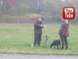 Rikke Meyer og Ravensbank Angel (Nellie) går brugsprøve d. 16-11-2014, 8 måneder gammel. Det giver 38/40 points hvilket er 'bestået'.&nbsp;&copy;Ravensbank Labrador Retrievers